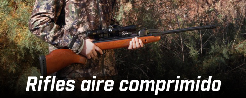 Rifle Aire Comprimido Fox Pcp Pr900 Repeticion + Inflador